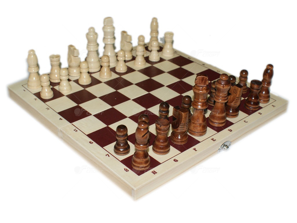 Шахматы обиходные с доской арт.G300-3