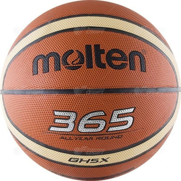 Мяч б/б Molten №5 арт.BGH5X